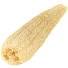 A picture of a long yellow loofah.